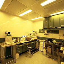 武汉润达代怀子医院感恩回馈现场